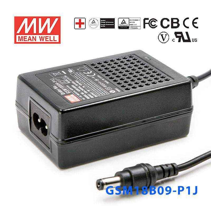 GSM18B09-P1J