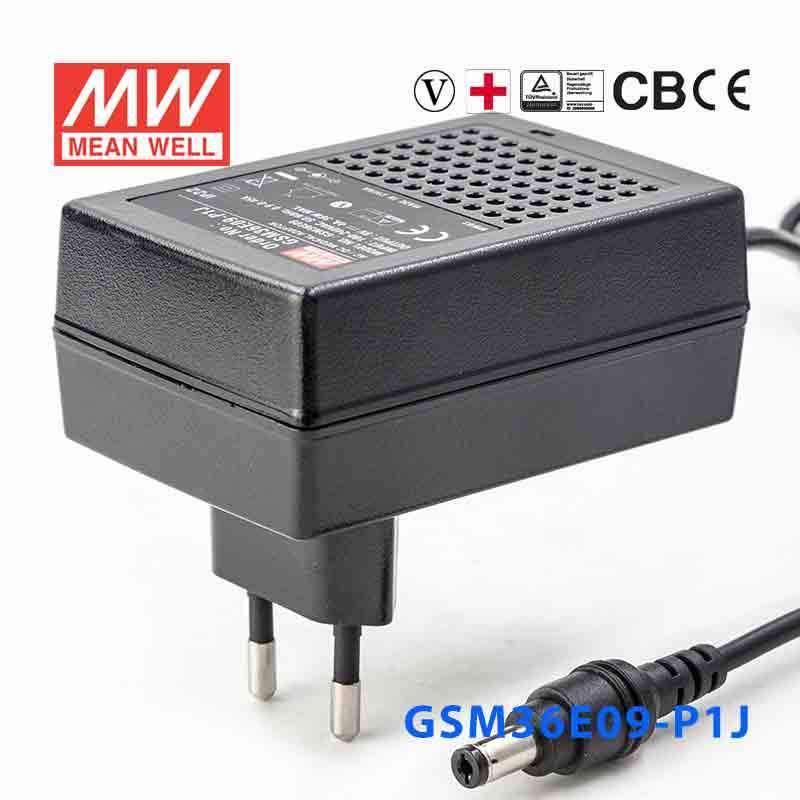 GSM36E09-P1J MEAN WELL Power Supply | HTD Electronics