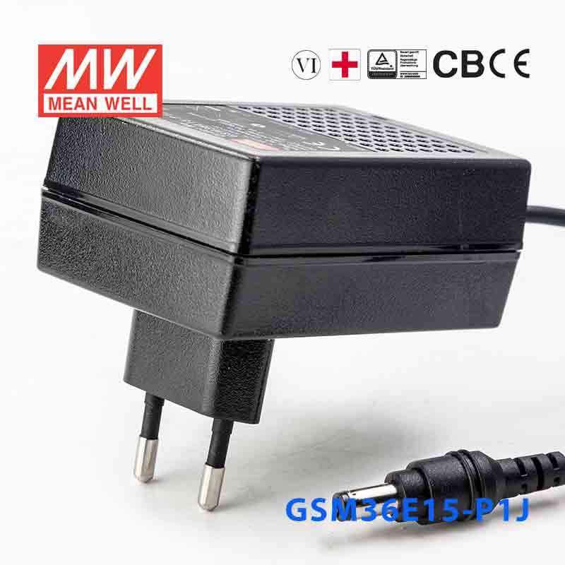 GSM36E15-P1J MEAN WELL Power Supply | HTD Electronics