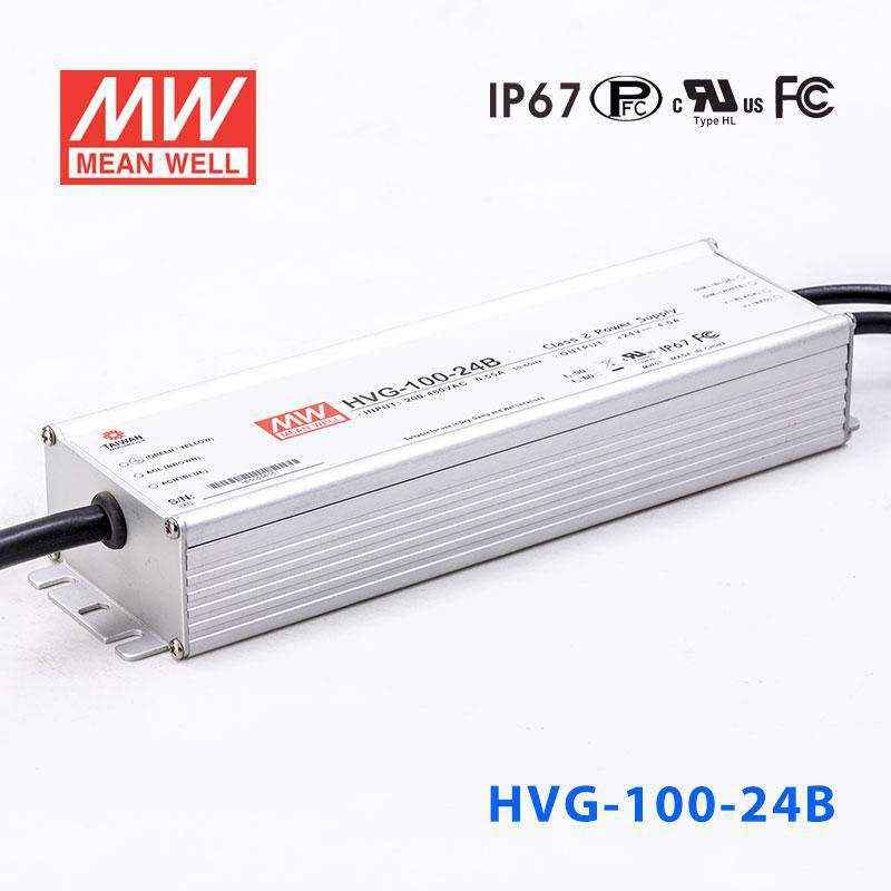 HVG-100-24B
