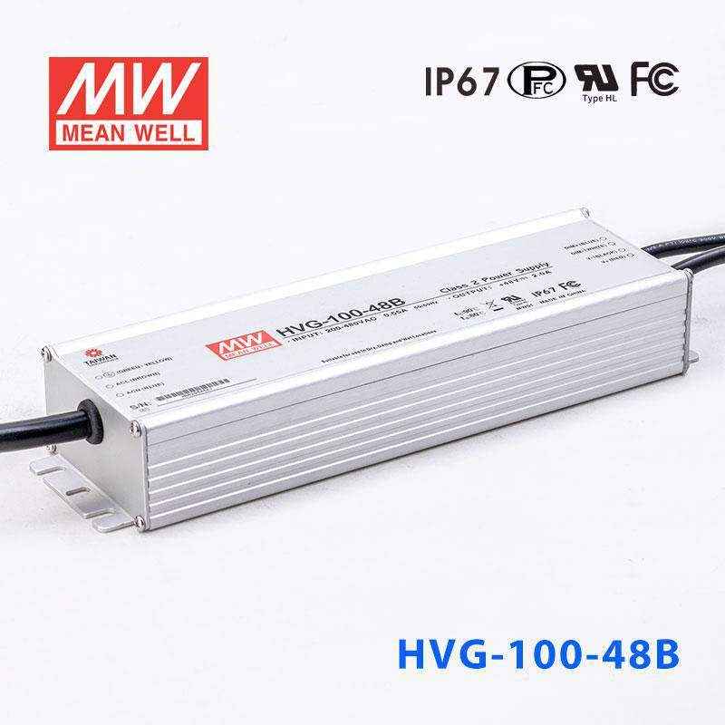 HVG-100-48B